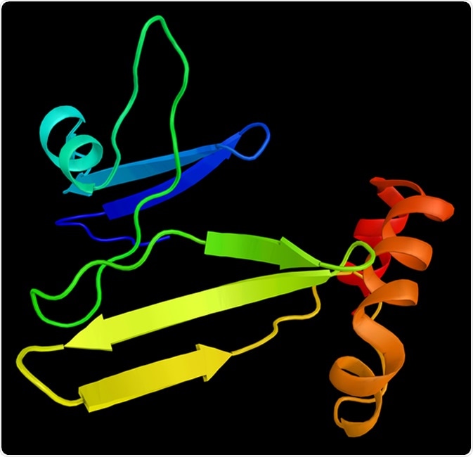 Ghrelin, the 'hunger hormone', also known as lenomorelin, a peptide hormone produced in the gastrointestinal tract which functions as a neuropeptide in the central nervous system. 3d rendering. Image Credit: ibreakstock / Shutterstock